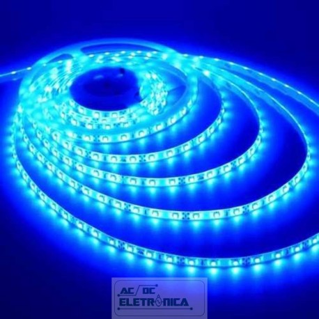 Fita led azul 5036 12vcc 5 metros