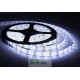 Fita led branco 5036 12vcc 5 metros