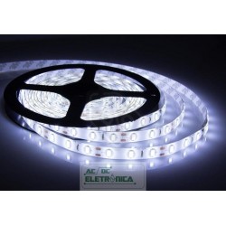 Fita led branco 5036 12vcc 5 metros